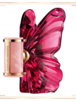 Carolina Herrera La Bomba Edp 80ml Bayan Parfüm Carolina Herrera La Bomba Edp 80ml Bayan Parfüm