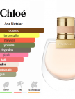 Chloe Nomade Edp 75ml Bayan Parfum