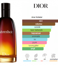 Dior Fahrenheit Edt 100ml Erkek Parfüm