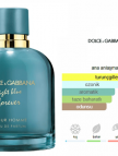Dolce Gabbana Light Blue Forever Edp 100ml Erkek Parfum