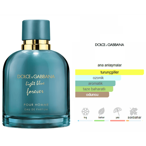 Dolce Gabbana Light Blue Forever Edp 100ml Erkek Parfum
