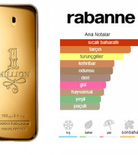 Paco Rabanne 1 Million Edt 100ml Erkek Parfüm