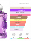 Parfums de Marly Palatine Edp 75ml Bayan Parfum
