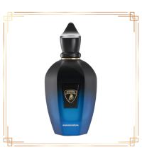 Xerjoff Avanguardia Edp 100ml Unisex Parfüm