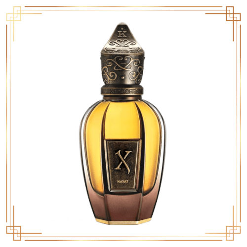 Xerjoff Hayat Edp 100ml Erkek Parfüm