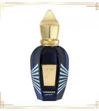 Xerjoff Torino 25 Edp 100ml Erkek Parfüm