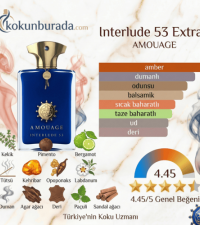Amouage Interlude 53 Man Extrait 100ml Erkek Parfüm