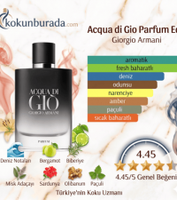 Giorgio Armani Acqua Di Gio Parfum Edp 100ml Erkek Parfüm