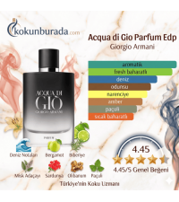 Giorgio Armani Acqua Di Gio Parfum Edp 100ml Erkek Parfüm Giorgio Armani Acqua Di Gio Parfum Edp 100ml Erkek Parfüm
