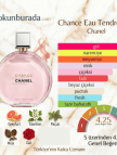 Chanel Chance Eau Tendre Edp 100ml Bayan Parfüm Chanel Chance Eau Tendre Edp 100ml Bayan Parfüm
