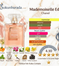 Chanel Coco Mademoiselle Edp 100ml Bayan Parfüm