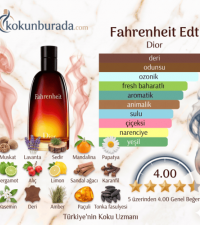 Dior Fahrenheit Edt 100ml Erkek Parfüm