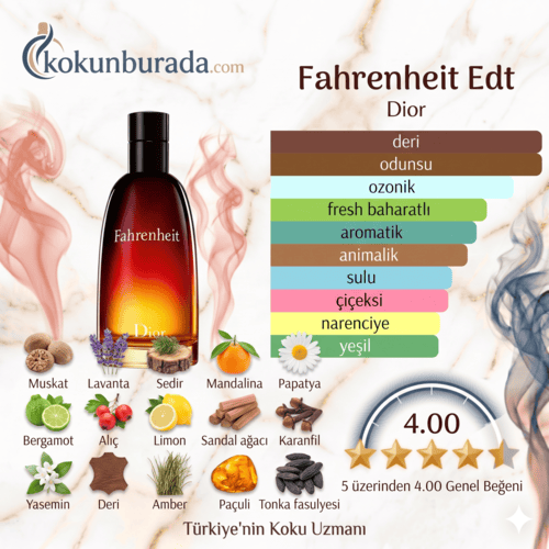 Dior Fahrenheit Edt 100ml Erkek Parfum Dior Fahrenheit Edt 100ml Erkek Parfum