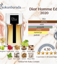 Dior Homme Edt 100ml Erkek Parfüm