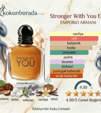 Emporio Armani Stronger With You Edt 100ml Erkek Parfüm