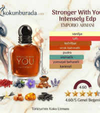 Emporio Armani Stronger With You Intensely Edp 100ml Erkek Parfüm