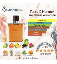 Hermes Terre d'Hermes Eau Intense Vetiver Edp 100ml Erkek Parfüm Hermes Terre d'Hermes Eau Intense Vetiver Edp 100ml Erkek Parfüm