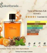 Hermes Terre d'Hermes Edt 100ml Erkek Parfüm