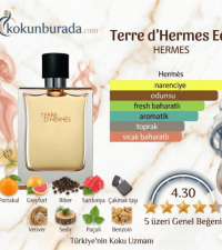 Hermes Terre d'Hermes Edt 100ml Erkek Parfüm