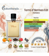 Hermes Terre d'Hermes Edt 100ml Erkek Parfüm Hermes Terre d'Hermes Edt 100ml Erkek Parfüm