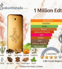 Paco Rabanne 1 Million Edt 100ml Erkek Parfüm