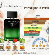Prada Paradigme Le Parfum 100ml Erkek Parfüm